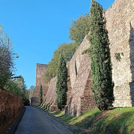 Magnoli 20 アパート